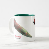 Tasse 2 Couleurs Pirarucu (Devant gauche)