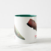 Tasse 2 Couleurs Pirarucu (Centre)