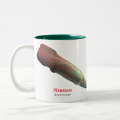 Tasse 2 Couleurs Pirarucu (Gauche)