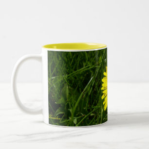 Tasse 2 Couleurs Pissenlit, Pissenlit
