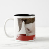 Tasse 2 Couleurs Pitbull de chiot mangeant hors du plat (Gauche)
