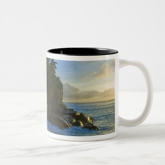 Tasse 2 Couleurs Plage Ansi Victorin 2 (Droit)