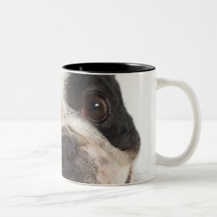 Tasse 2 Couleurs Plan rapproché de Boston Terrier