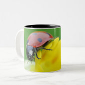 Tasse 2 Couleurs Plan rapproché de coccinelle (Devant gauche)
