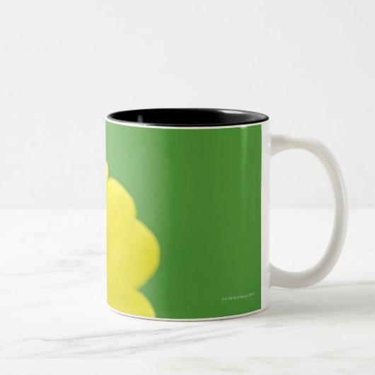 Tasse 2 Couleurs Plan rapproché de coccinelle (Droit)