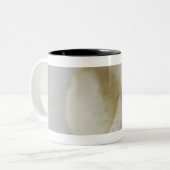 Tasse 2 Couleurs Plan rapproché de deux poires (Devant gauche)