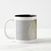 Tasse 2 Couleurs Plan rapproché de deux poires (Gauche)