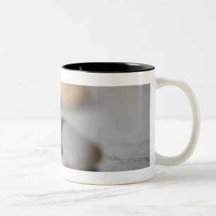 Tasse 2 Couleurs Plan rapproché des cailloux