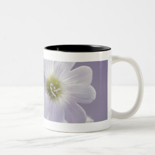 Tasse 2 Couleurs Plan rapproché des fleurs 2