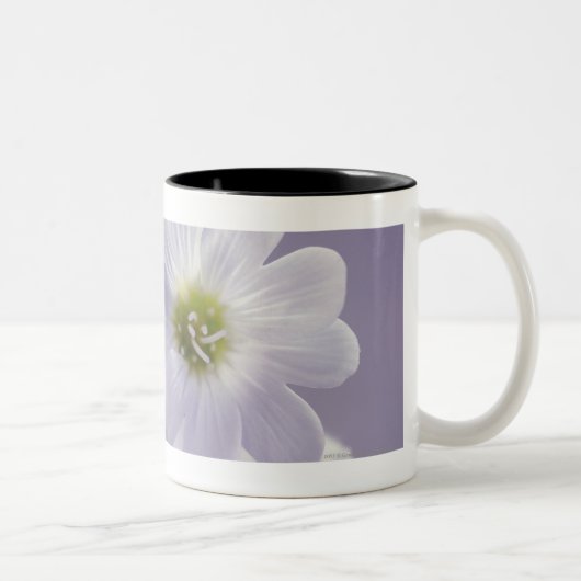 Tasse 2 Couleurs Plan rapproché des fleurs 2 (Droit)