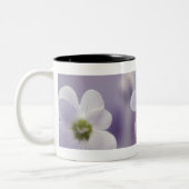 Tasse 2 Couleurs Plan rapproché des fleurs 2 (Gauche)