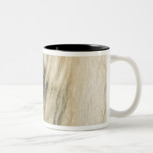 Tasse 2 Couleurs Plan rapproché d'oeil de cheval