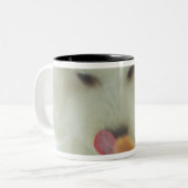 Tasse 2 Couleurs Plan rapproché d'un caniche miniature mangeant de (Devant gauche)