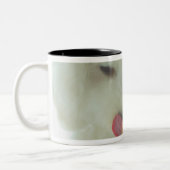 Tasse 2 Couleurs Plan rapproché d'un caniche miniature mangeant de (Gauche)