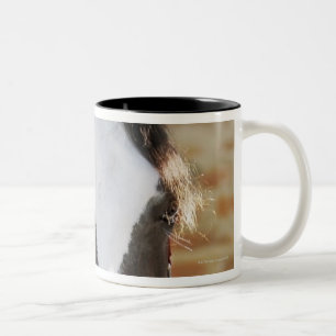 Tasse 2 Couleurs Plan rapproché d'un cheval attaché dans une écu