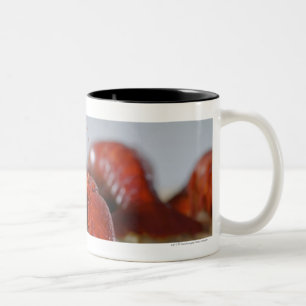 Tasse 2 Couleurs Plan rapproché d'un crabe sur des bâtons