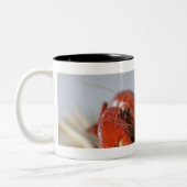 Tasse 2 Couleurs Plan rapproché d'un crabe sur des bâtons (Gauche)