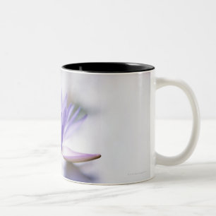 Tasse 2 Couleurs Plan rapproché d'un nénuphar pourpre flottant