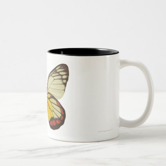 Tasse 2 Couleurs Plan rapproché d'un papillon 3 (Droit)