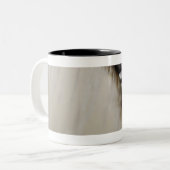 Tasse 2 Couleurs Plan rapproché d'une clé (Devant gauche)