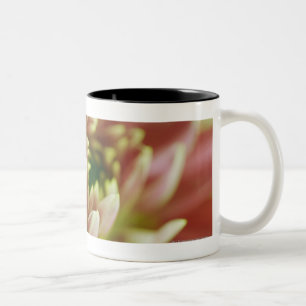 Tasse 2 Couleurs Plan rapproché d'une fleur