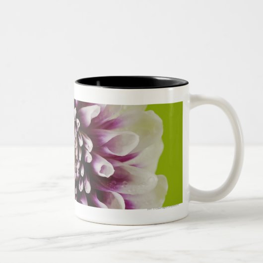 Tasse 2 Couleurs Plan rapproché d'une fleur 2 (Droit)