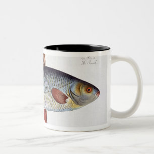 Tasse 2 Couleurs Plat II de gardon (Cyprinus Rutilis) de