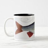 Tasse 2 Couleurs Plat II de gardon (Cyprinus Rutilis) de (Gauche)