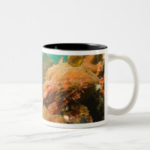 Tasse 2 Couleurs plongeur & Scorpionfish Scorpanopsis