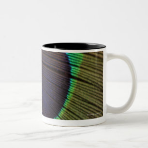 Tasse 2 Couleurs Plume de paon