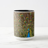 Tasse 2 Couleurs Plumes de queue de paon (Centre)