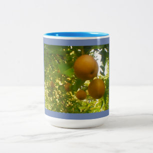 Tasse 2 Couleurs Poires florissantes