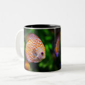 Tasse 2 Couleurs Poisson de Discus (Devant gauche)