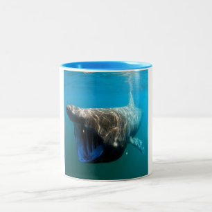 Tasse 2 Couleurs Poisson de requin Océan tropical Destin Cadeaux
