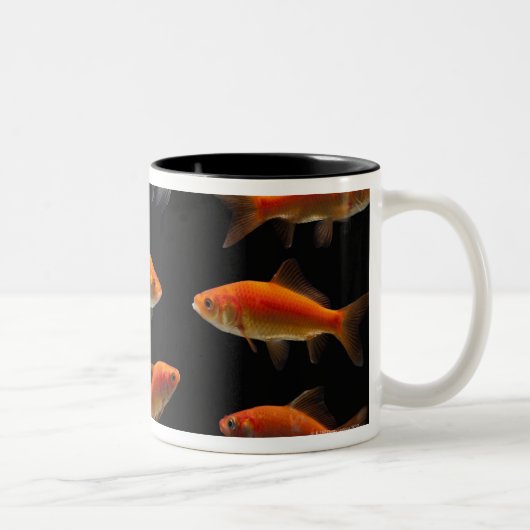 Tasse 2 Couleurs Poisson rouge 2 (Droit)