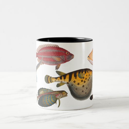 Tasse 2 Couleurs Poissons (Centre)
