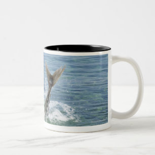 Tasse 2 Couleurs Poissons éclaboussant en mer