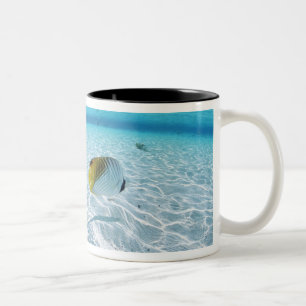 Tasse 2 Couleurs Poissons en mer 2
