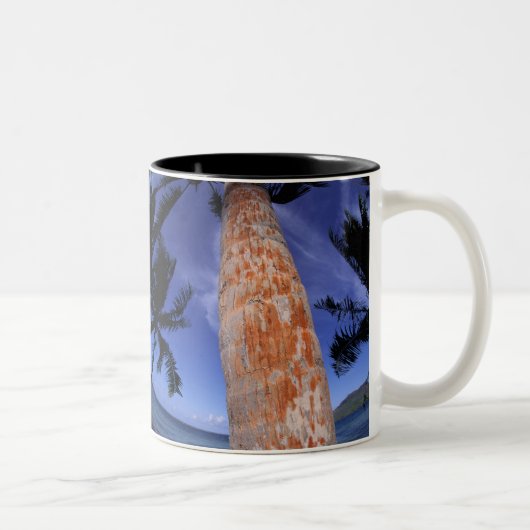 Tasse 2 Couleurs Polynésie française, Bora Bora, Palmiers (Droit)