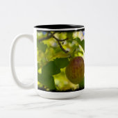 Tasse 2 Couleurs Pommes 1 sur noir (Gauche)