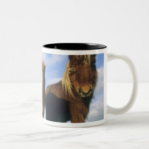 Tasse 2 Couleurs Poney Shetland, Shetland continentales,