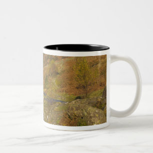 Tasse 2 Couleurs Pont Ashness, Lake District, Cumbria, Angleterre
