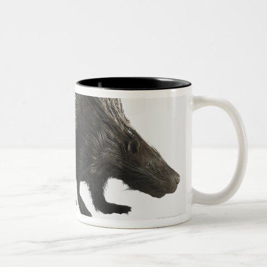 Tasse 2 Couleurs Porc-épic (Droit)