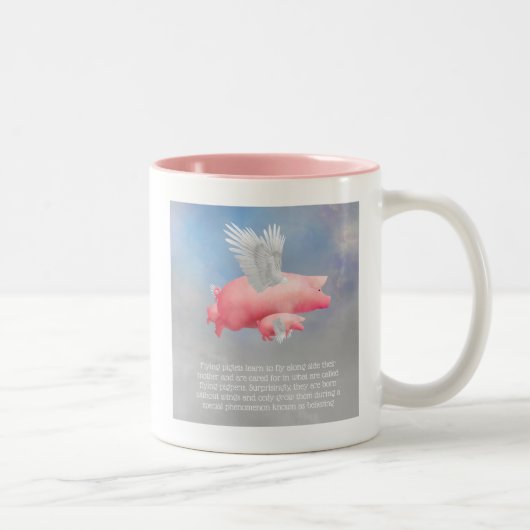 Tasse 2 Couleurs Porcelets volants (Droit)