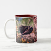 Tasse 2 Couleurs Porcupine Faune Nature Personnalisée (Gauche)
