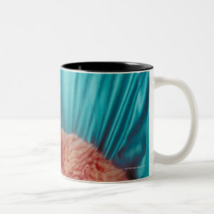 Tasse 2 Couleurs Portrait de chat