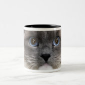 Tasse 2 Couleurs Portrait de chat de Ragdoll (Centre)