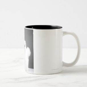 Tasse 2 Couleurs Portrait de chaton