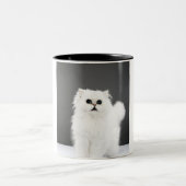 Tasse 2 Couleurs Portrait de chaton (Centre)