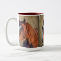 Portrait de cheval d'oseille sur le Grunge-effet